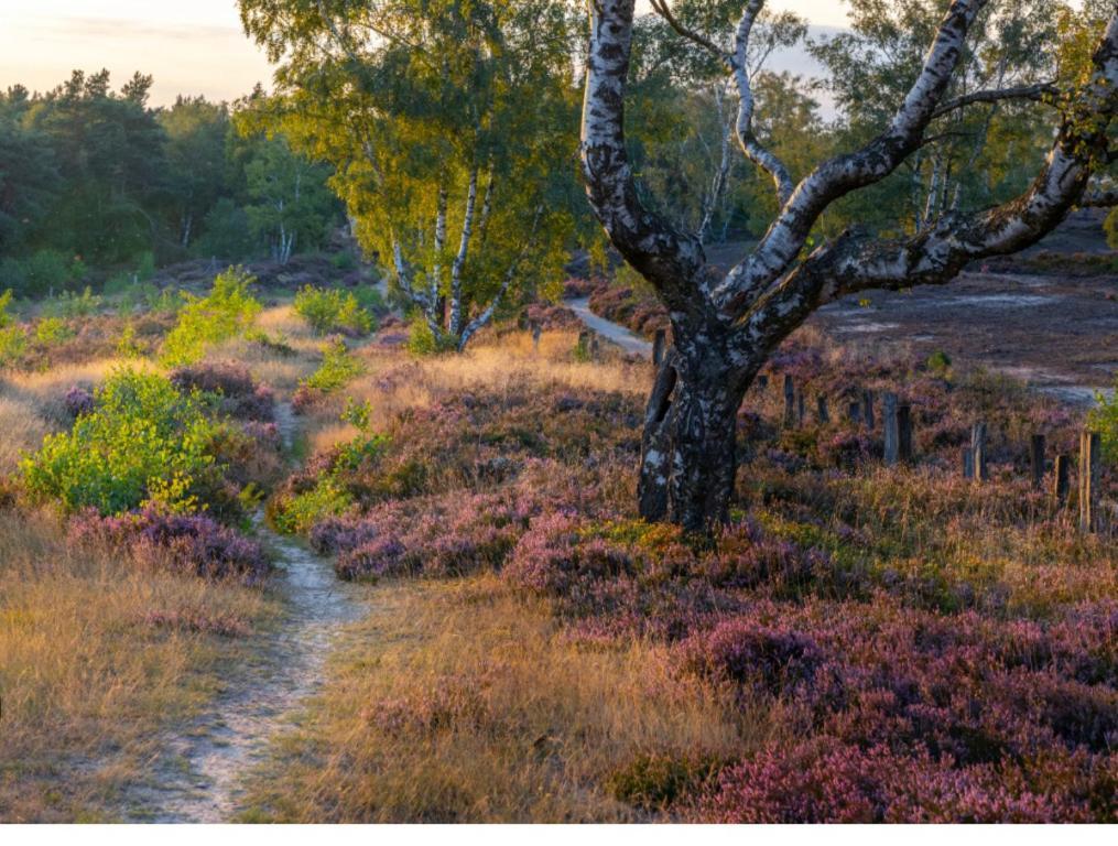 Feelslikehome - Reihenhaus Zwischen Hamburg Und Heide Mit Garten&Garage Neu Wulmstorf Exteriér fotografie